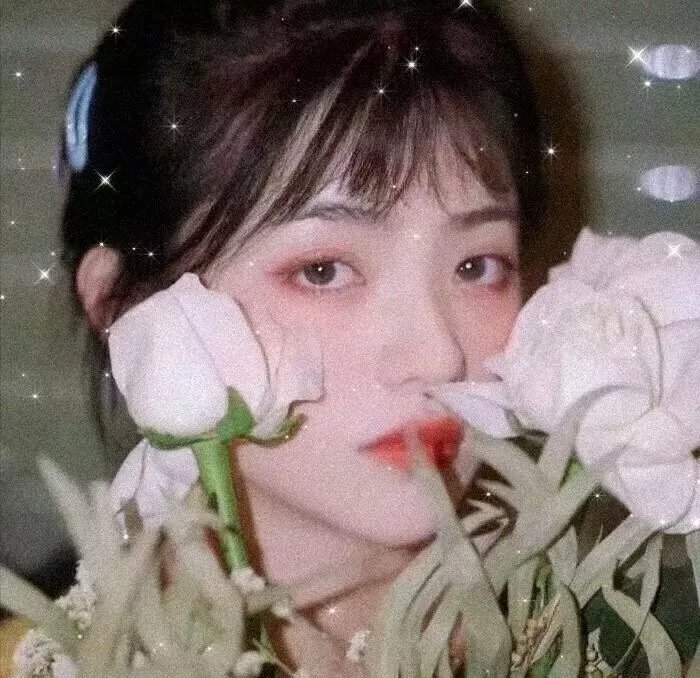 隔篱屋有宝